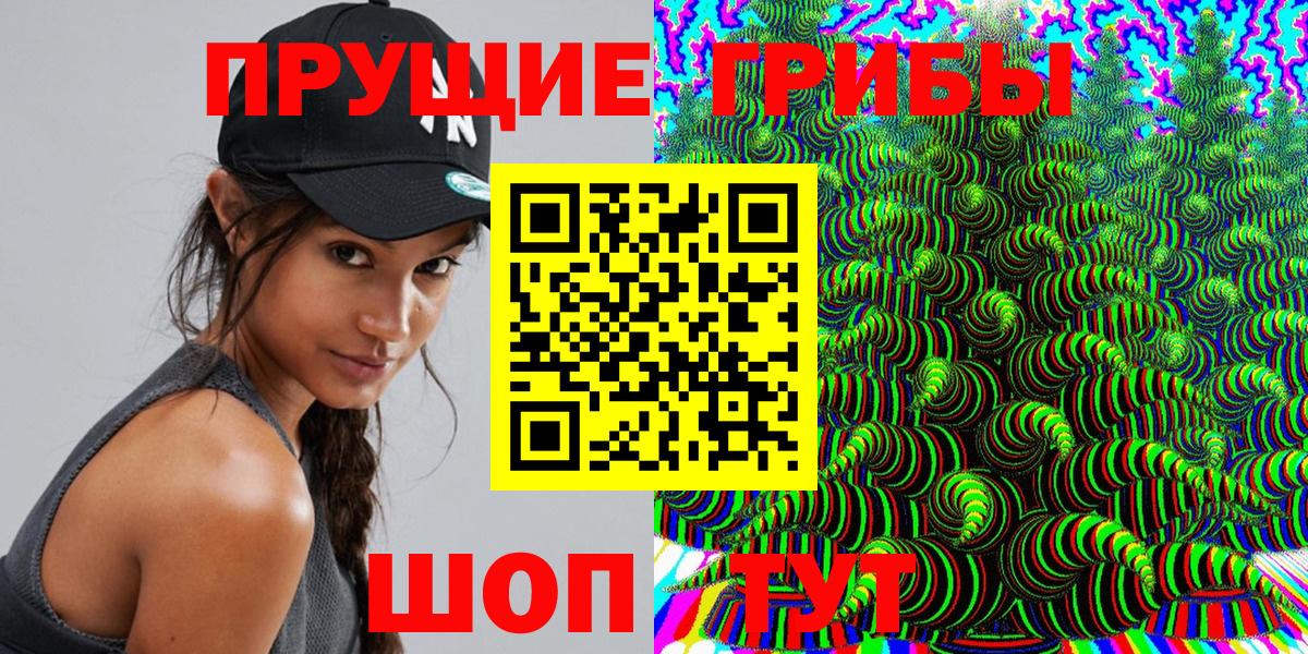 Псилоцибиновые грибы мицелий Сокол